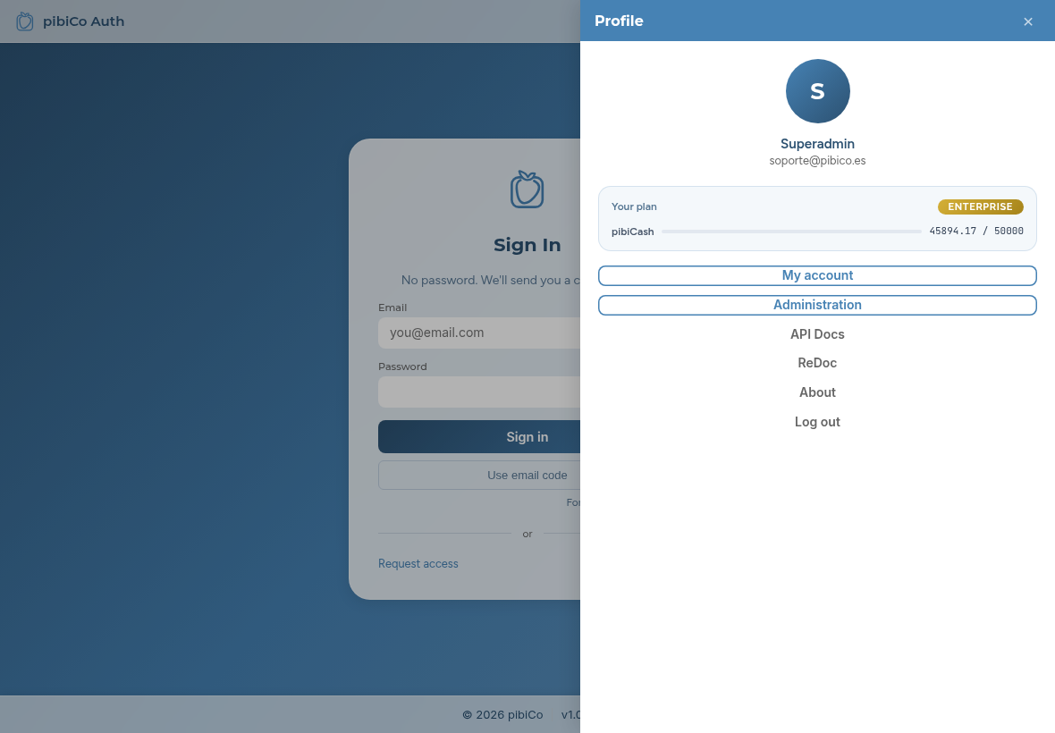 Profile panel with plan and pibiCash credits